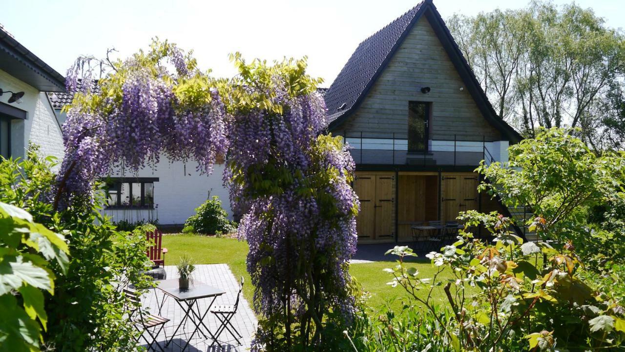 We Maison D'Hotes Кассель Экстерьер фото